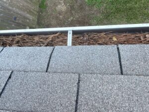 Spring home maintenance inspection in Northwest Houston. Pine straw filled gutters