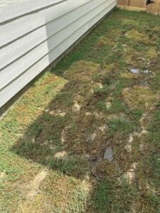 small-home-issues-that-can-turn-into-expensive-repairs-poor-drainage-around-the-foundation